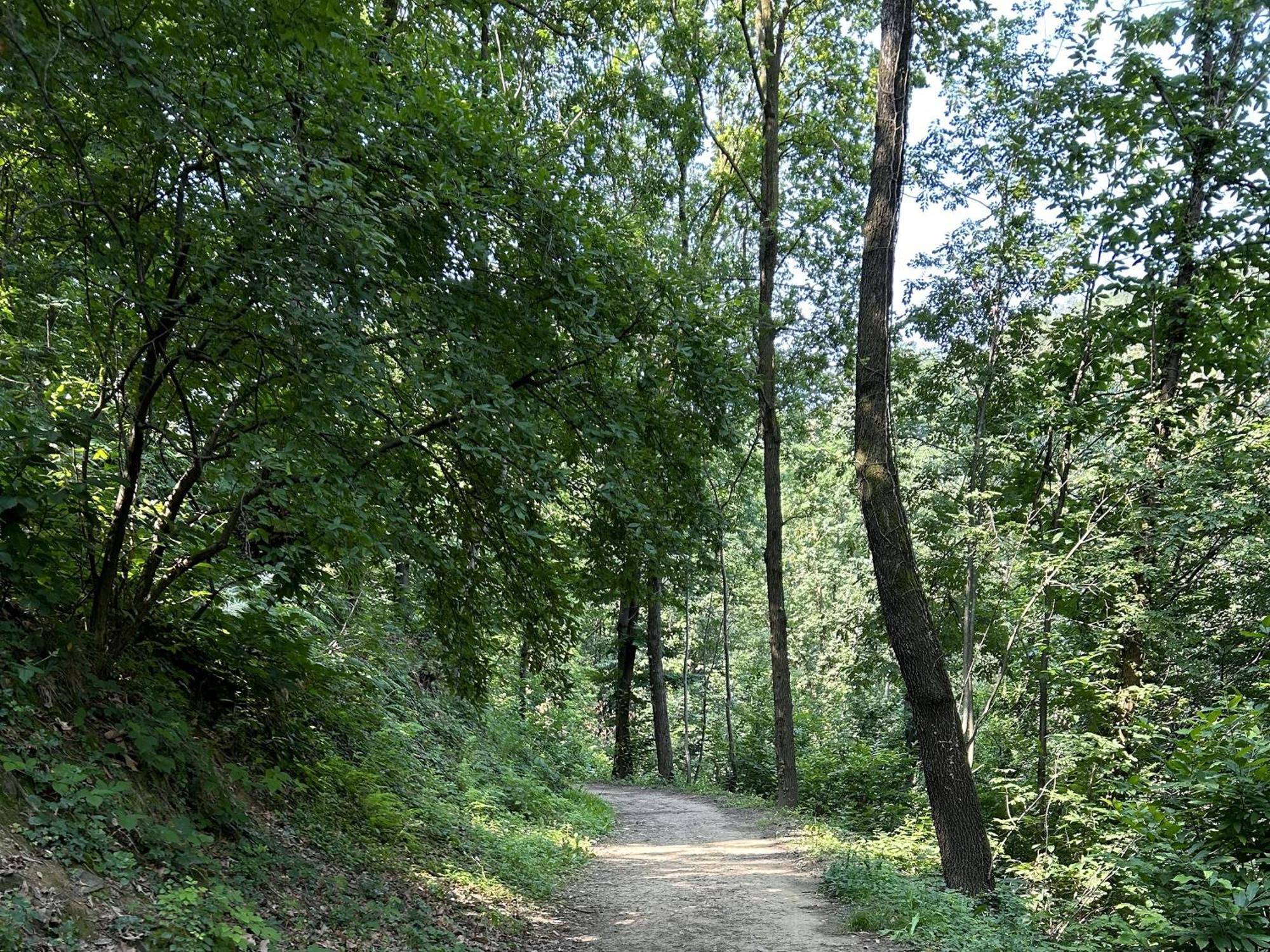 Il Giardino Di Berbech Citta Alta - Castagno Apartment แบร์กาโม ภายนอก รูปภาพ
